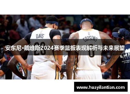 安东尼·戴维斯2024赛季篮板表现解析与未来展望